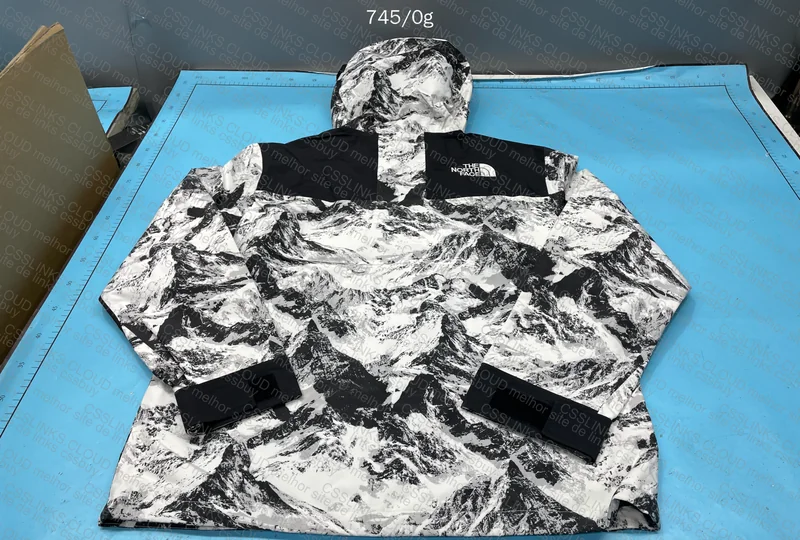 The North Face 1990 Goretex Jacket (budget version)