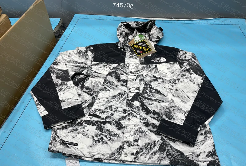 The North Face 1990 Goretex Jacket (budget version) 2