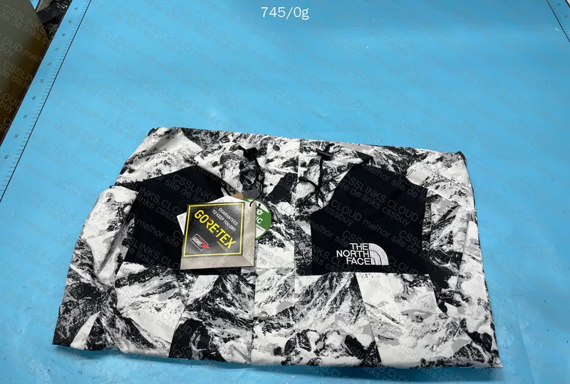 The North Face 1990 Goretex Jacket (budget version) 3