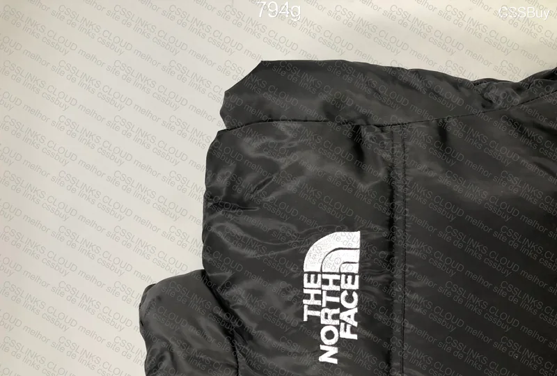 The North face tnf 6