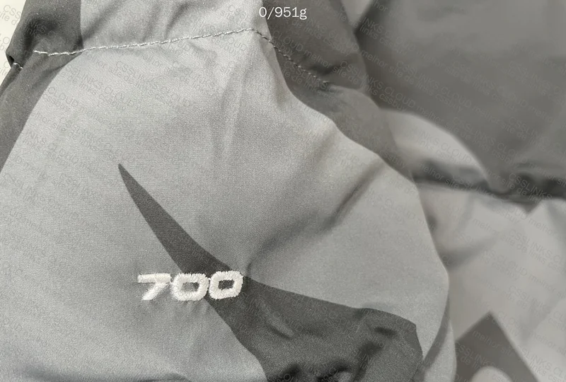 The North Face X Kaws 4