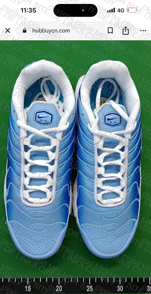TN Blue GL or RL?