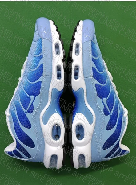 TN Blue GL or RL? 2