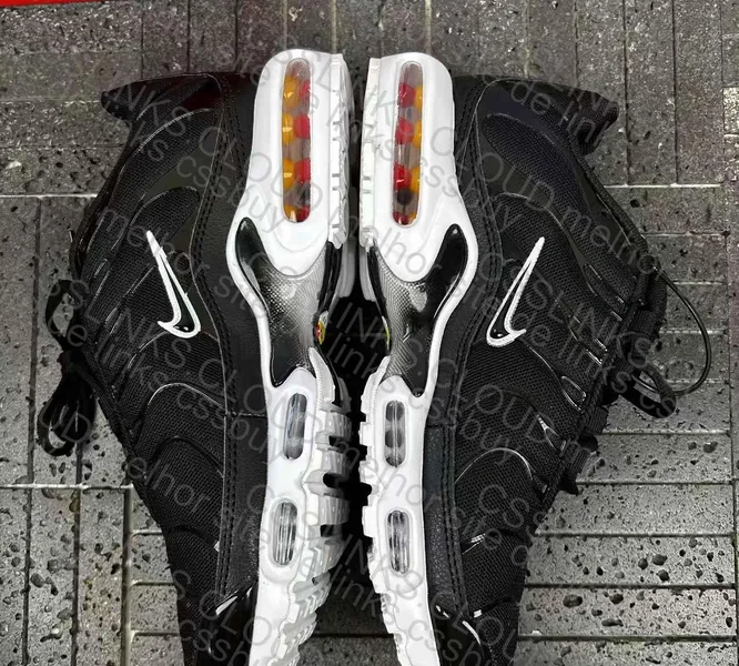 TN Black and White JMDY 5
