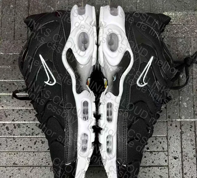 TN Black and White JMDY 6