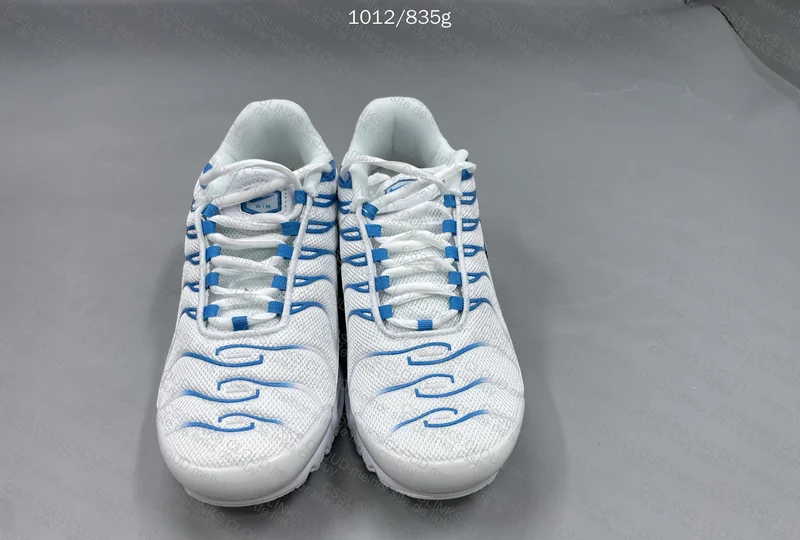 Tn blue fury