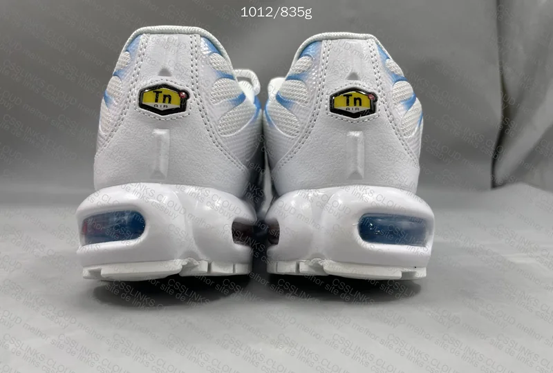 Tn blue fury 2