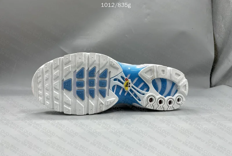 Tn blue fury 5
