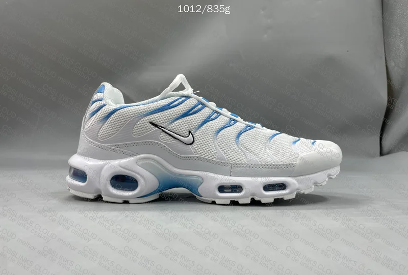 Tn blue fury 6