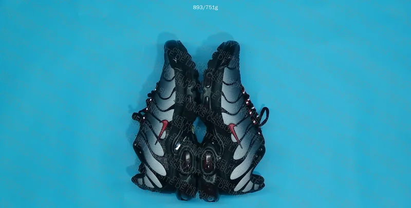 TN DRACULA GL?