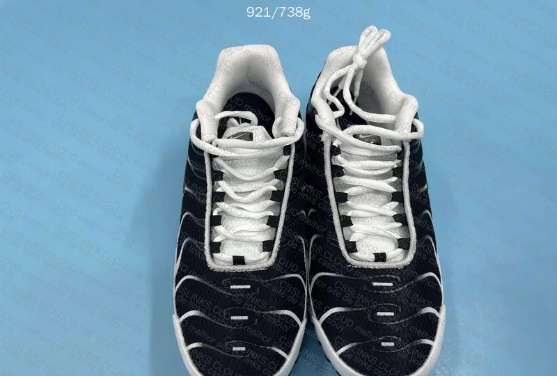 TN Killer Whale (Putian) GL or RL?