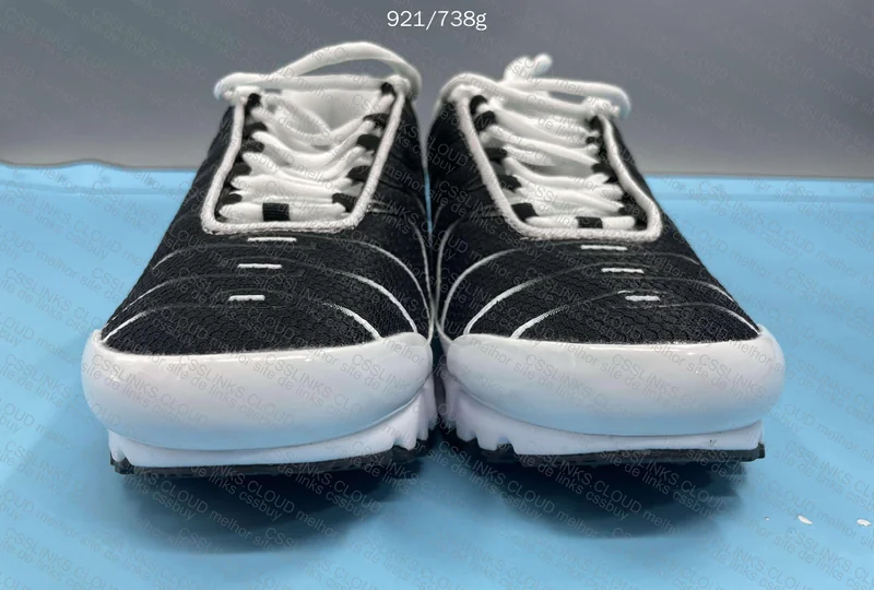 TN Killer Whale (Putian) GL or RL? 2