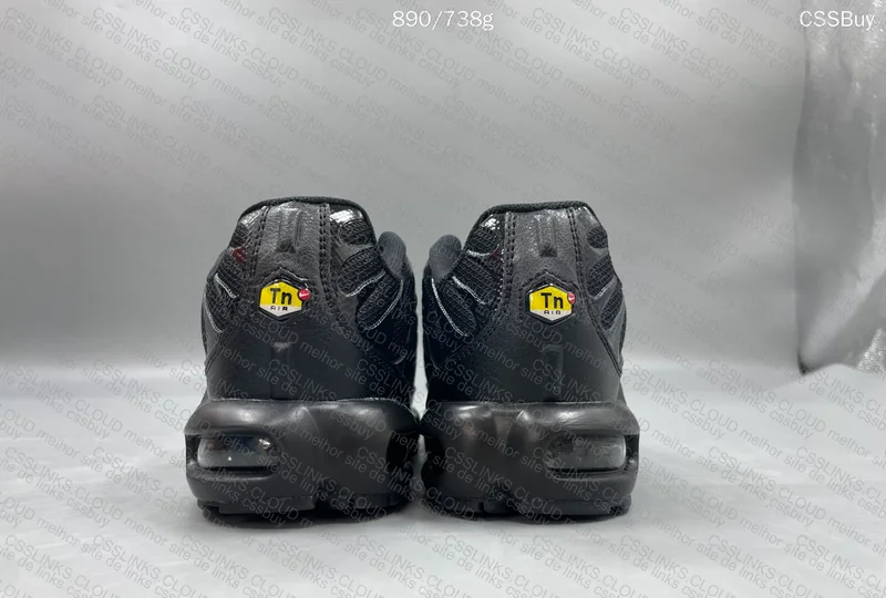 TN Triple Black 110 Y GL or RL? 2