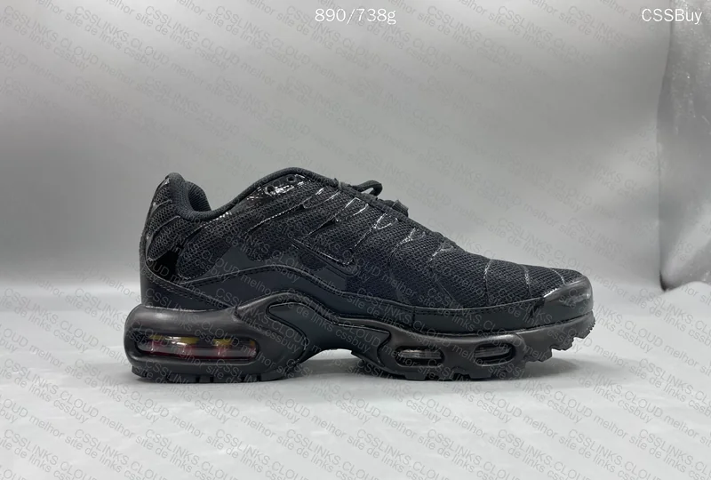 TN Triple Black 110 Y GL or RL? 4