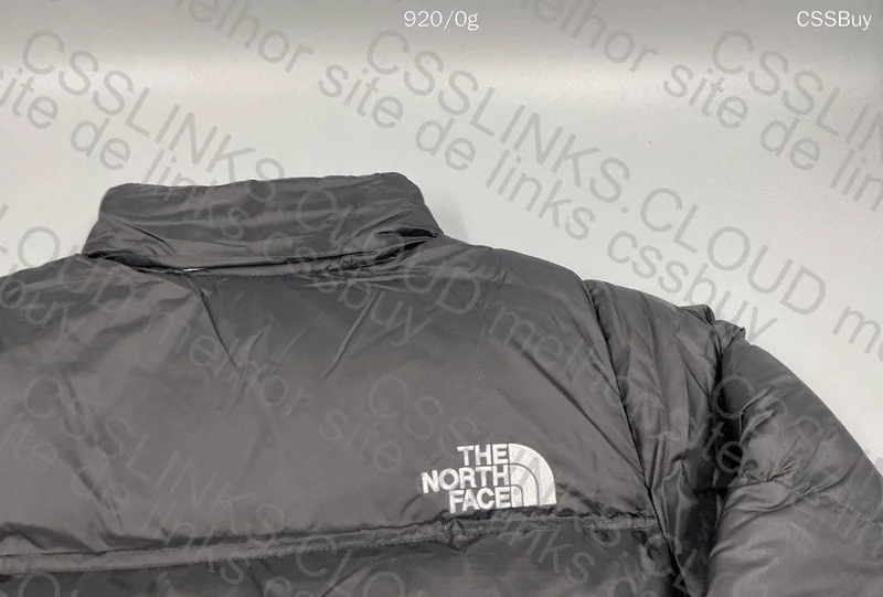 TNF 1996 Retro Nupse Down Jacket