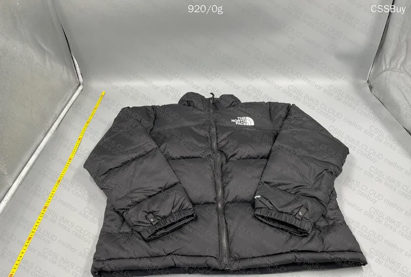 TNF 1996 Retro Nupse Down Jacket 2