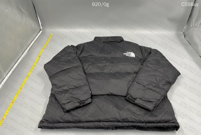 TNF 1996 Retro Nupse Down Jacket 3