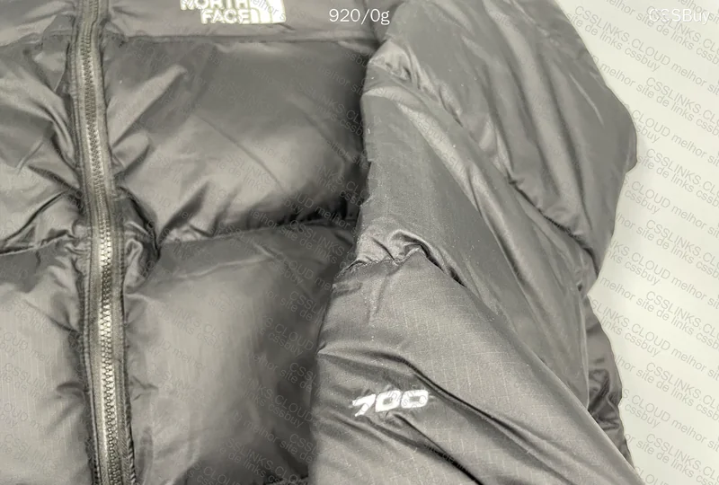 TNF 1996 Retro Nupse Down Jacket 4