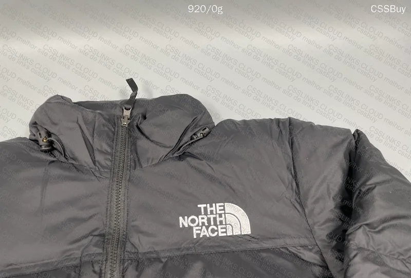 TNF 1996 Retro Nupse Down Jacket 6