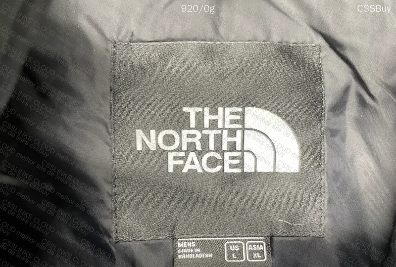 TNF 1996 Retro Nupse Down Jacket 7