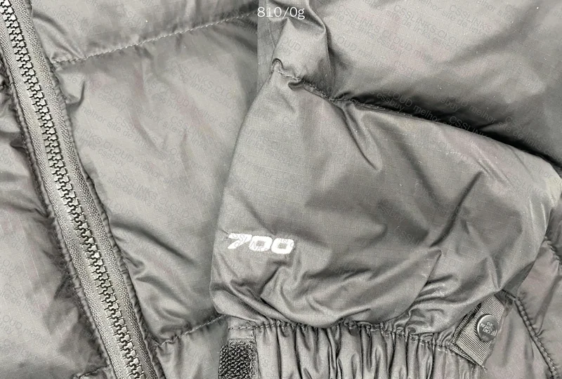 TNF DOWN Jackets 4