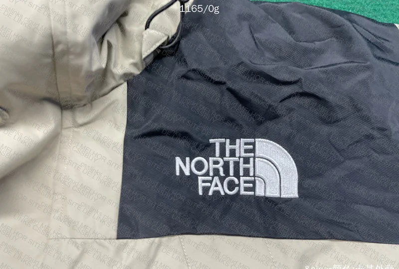 TNF Goretex 2