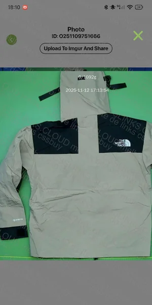 TNF GORETEX 2