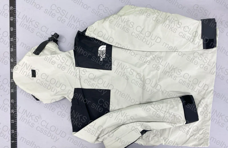 tnf mountain jacket goretex 2