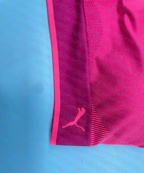 Puma Training Top 2