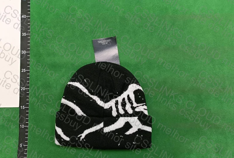 Arc'teryx Beanie 2