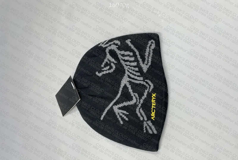 Arc'teryx Beanie GL? 2