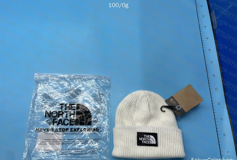 TNF The North Face Beanie