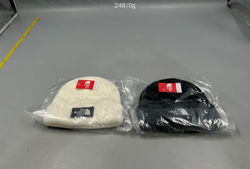 North Face Beanie 2