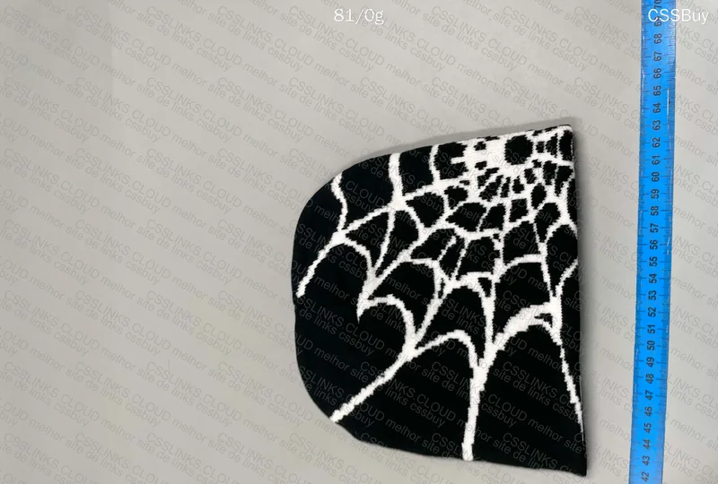 Spider Web Beanie 2