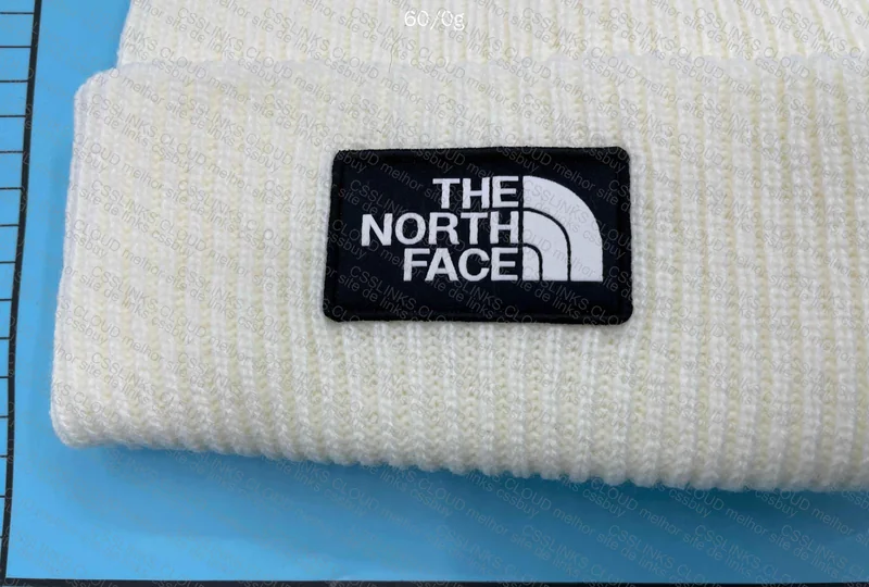 The Nort Face Beanie 4