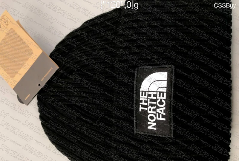 TNF Black Beanie 2