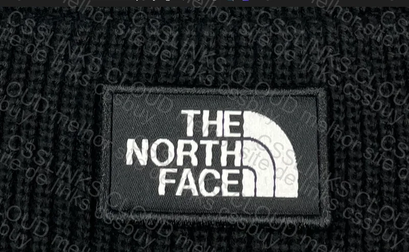 TNF (The North Face) Beanie 5