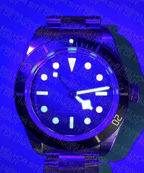 TUDOR BLACK BAY 58 ( GL?) 3