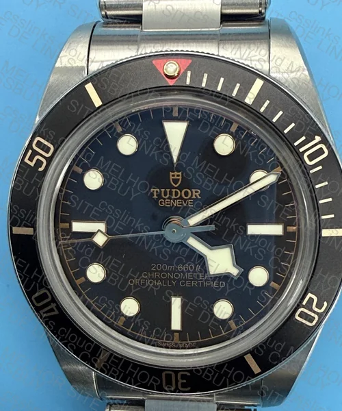 TUDOR BLACK BAY 58 ( GL?) 5