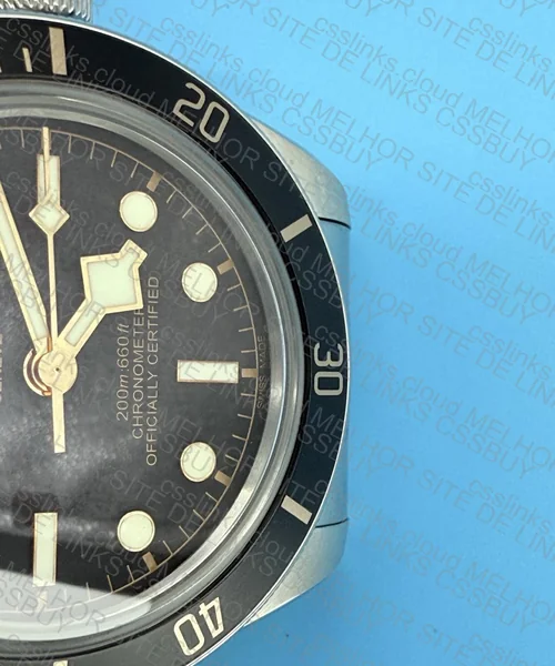TUDOR BLACK BAY 58 ( GL?) 6