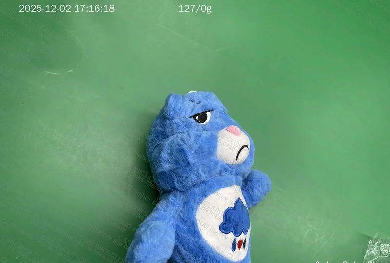 Blue Care Bears Plush 2