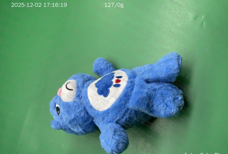 Blue Care Bears Plush 5