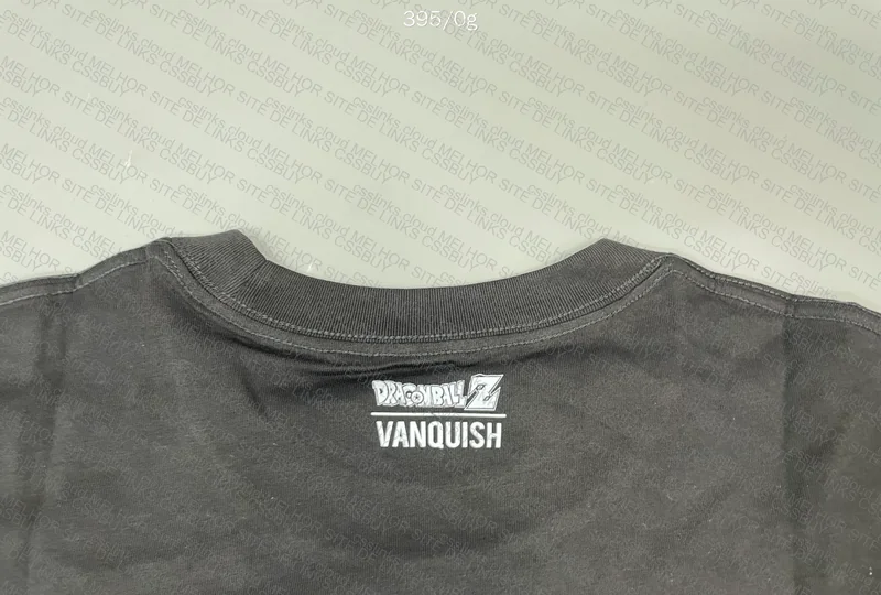 Vanquish GOKU Gym (With Measurements) 6