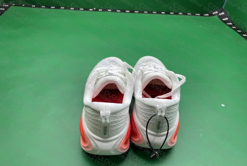 VOMERO PLUS