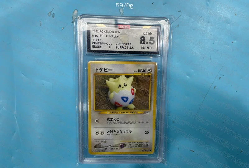 Wartortle 9.5BCTC e TOGEPI 8.5BCTC 4