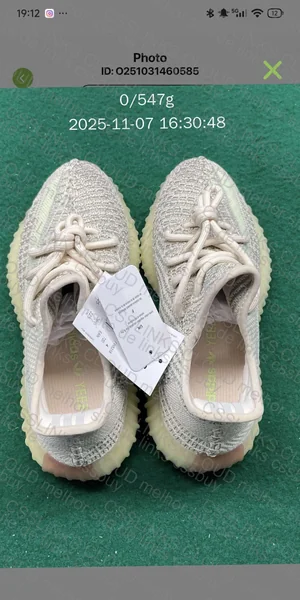 YEEZY 350 BLIND 2