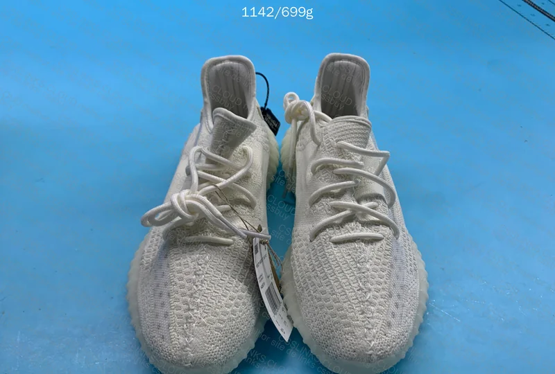 Yeezy 350 Bone 5