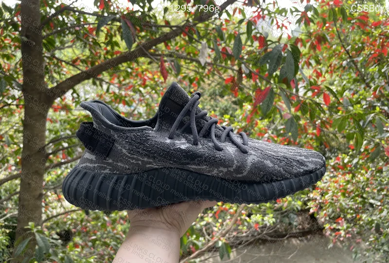Yeezy 350 Dark Salt with QC Natural Light 9