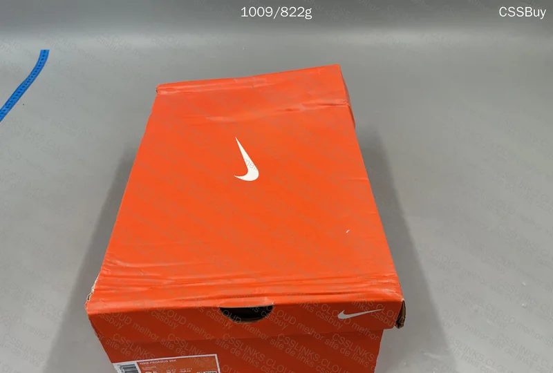 Yeezy 350 in Nike Box 6