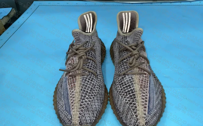 Yeezy 350 (Famous 29y Pair) 6